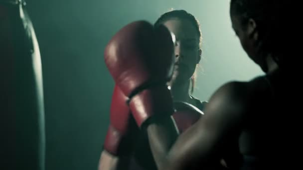 İki kadın boksörler eğitim — Stok video