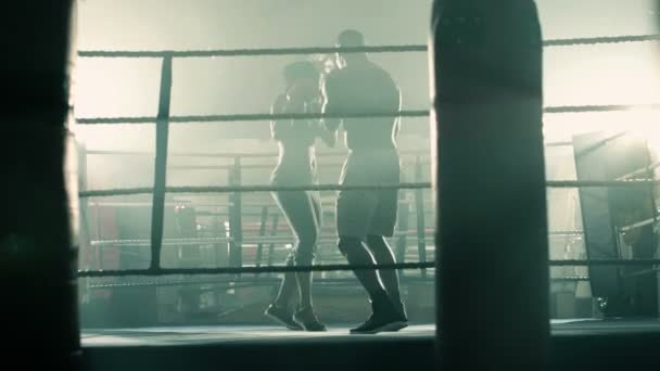 Male and Female Boxers training together — Stock Video