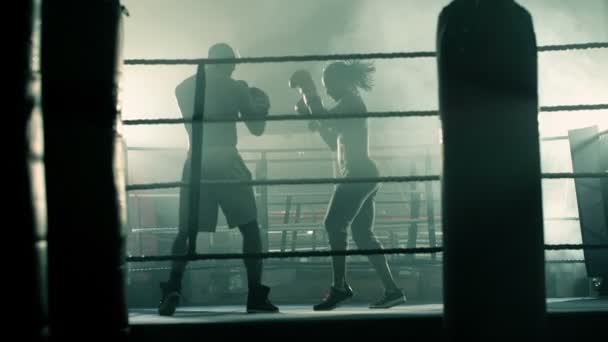 Male and Female Boxers training together — Stock Video