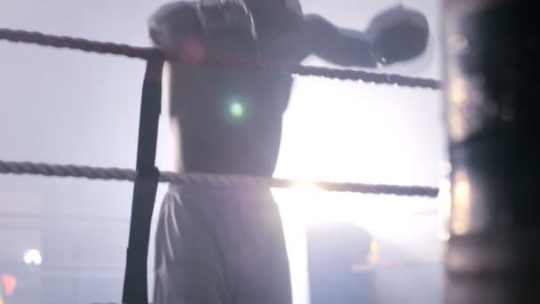 Joven boxeador masculino descansando — Vídeo de stock