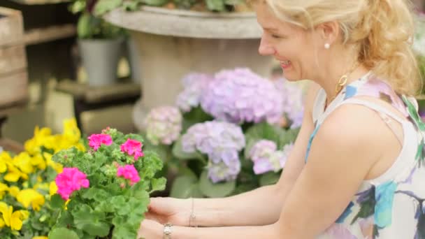 Mulher agacha-se entre as flores — Vídeo de Stock
