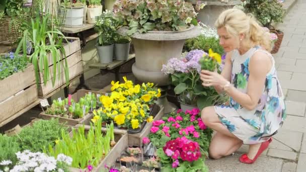 Mujer mira la variedad de flores indulgentes — Vídeo de stock