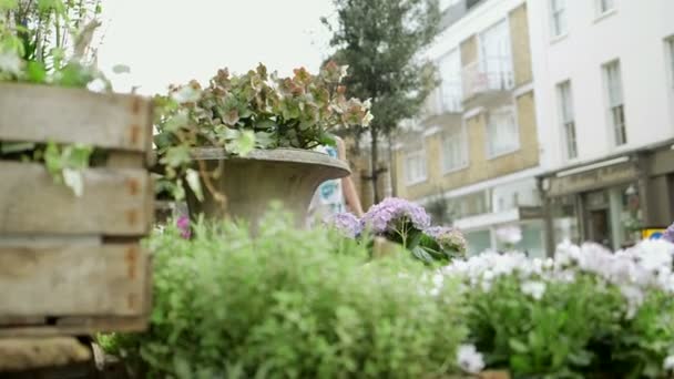 Vrouw beslissen om te kopen een pot met bloemen — Stockvideo