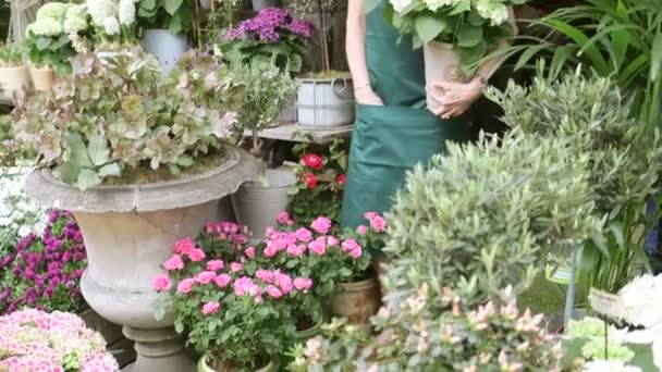 Una floristería sosteniendo una gran maceta de flores — Vídeo de stock