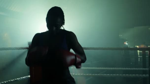 Femme Boxer saute du coin — Video