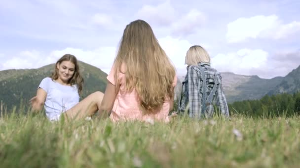 Friends enjoying countryside — Stock Video