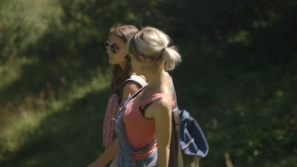 女性の田園地帯でハイキング — ストック動画