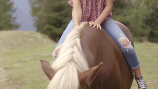 Женщина гладит лошадь — стоковое видео