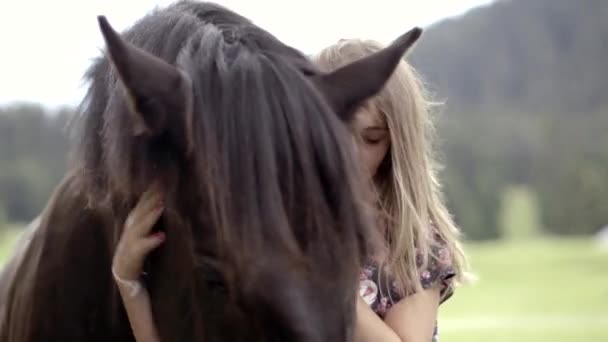 Девочка ласкает лошадь — стоковое видео