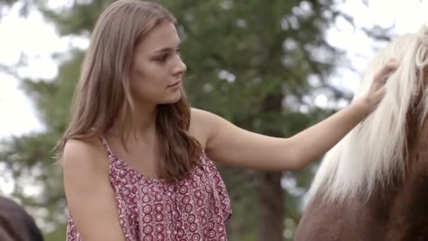 Mujer acariciando caballo — Vídeo de stock