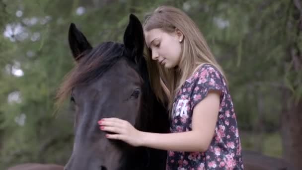 Mädchen streichelt Pferd — Stockvideo