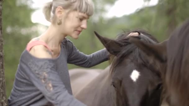 Mujer acariciando caballos — Vídeos de Stock