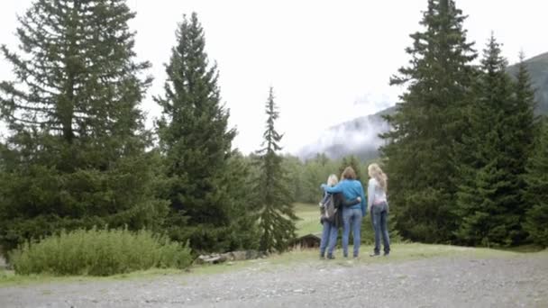 Freunde an einem Aussichtspunkt — Stockvideo