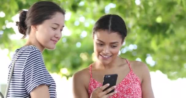 Young female friends looking at smartphone — Stock Video