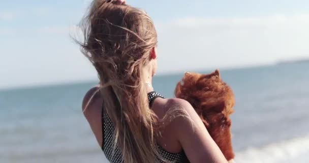 Mujer en la playa con perro de compañía — Vídeos de Stock