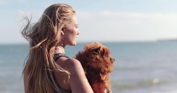 Femme sur la plage avec chien de compagnie — Video