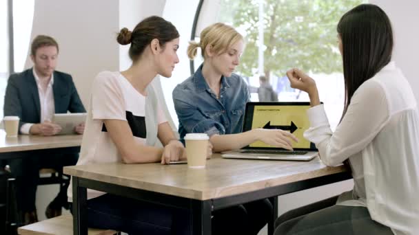 Vrouwen werken samen aan een presentatie — Stockvideo