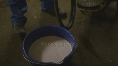 Süt dökülüp çiftçi