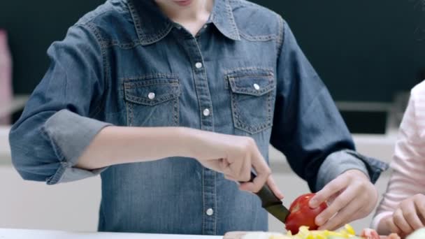 Meninas preparando uma refeição saudável — Vídeo de Stock