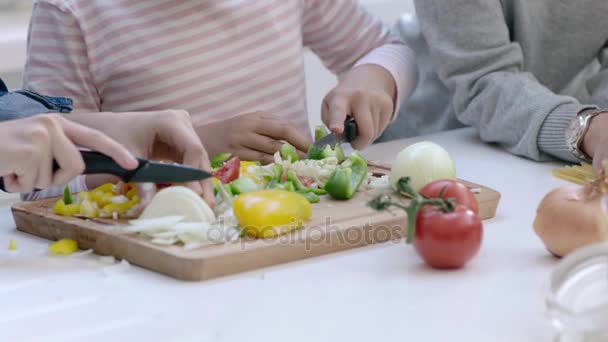 Mãe ensinando filha para cozinhar uma refeição — Vídeo de Stock