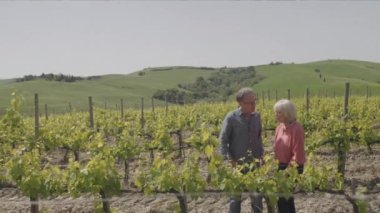 Üst düzey iki ziyaret bağ