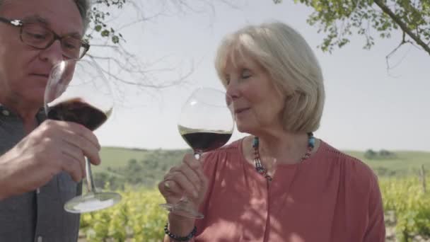 Couple âgé buvant du vin — Video