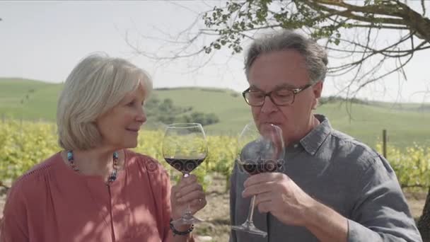 先輩夫婦がワインを飲む — ストック動画