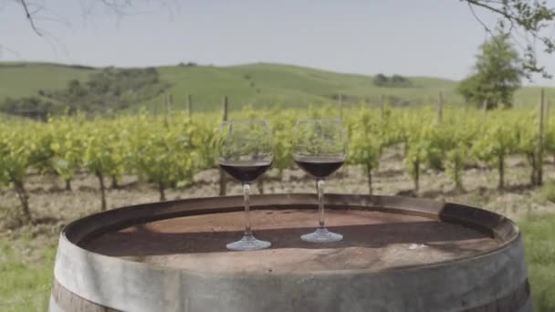 Два бокала красного вина на винограднике в Италии — стоковое видео