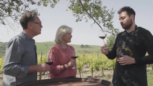 Pareja mayor degustación de vino — Vídeos de Stock