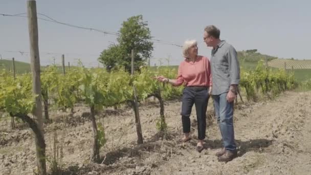 Casal sénior visitando vinha — Vídeo de Stock