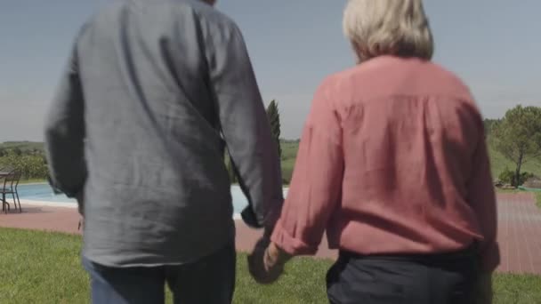 Starší pár, při pohledu na krajinu — Stock video