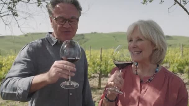 Couple âgé buvant du vin — Video