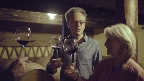 Casal sénior numa prova de vinhos — Vídeo de Stock