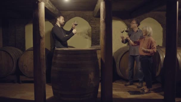 Pareja mayor en una cata de vinos — Vídeo de stock