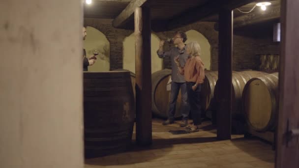 Pareja mayor en una cata de vinos — Vídeo de stock