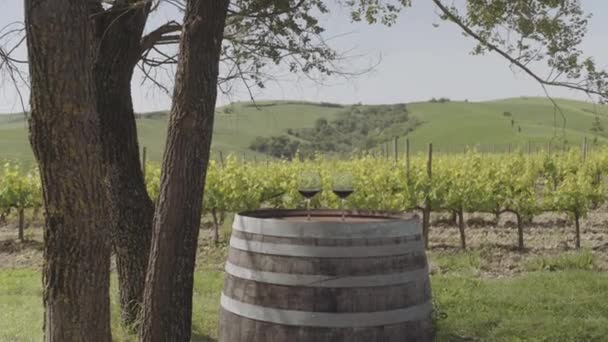 Two red wine glasses at vineyard in Italy — Stock Video