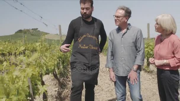 Couple sénior visitant vignoble — Video