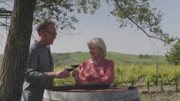 Старшая пара пьет вино — стоковое видео
