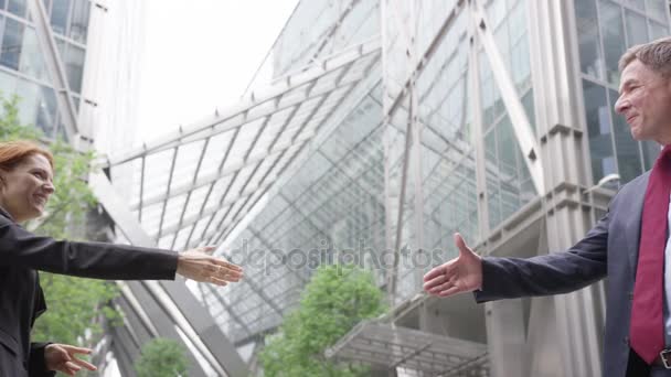 Empresaria estrechando la mano con hombre de negocios — Vídeos de Stock
