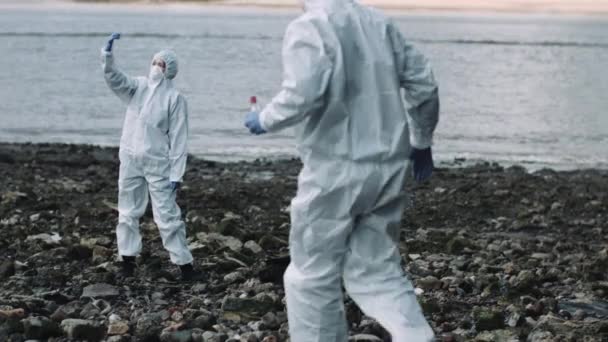 Forensic scientists examining sample — Stock Video