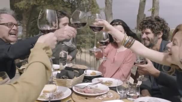 Family dining outdoors — Stock Video