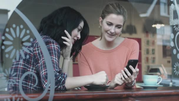 Amigas en cafetería — Vídeos de Stock