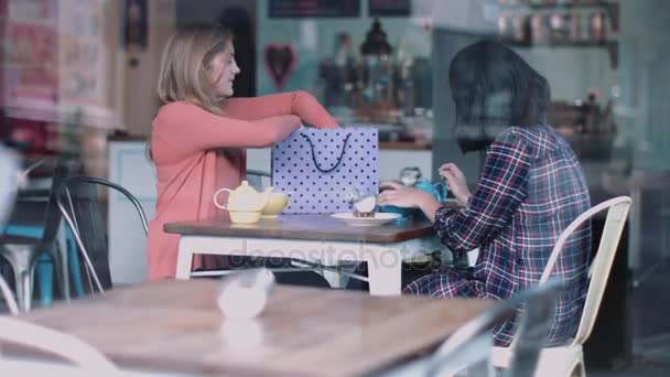 Amis féminins regardant les vêtements achetés — Video