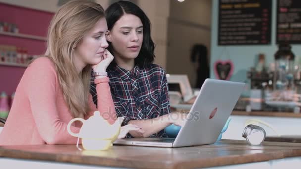 Dos mujeres adultas jóvenes que trabajan en el ordenador portátil — Vídeo de stock