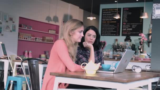 Dos mujeres adultas jóvenes que trabajan en el ordenador portátil — Vídeo de stock