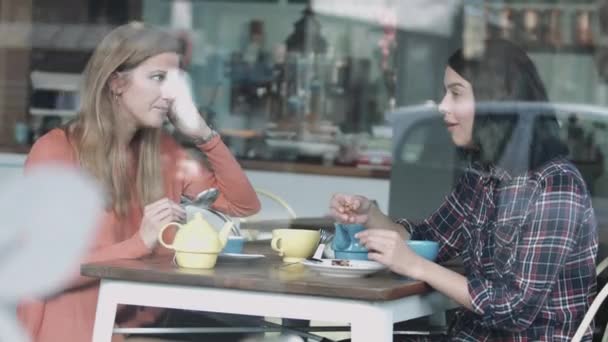 Vriendinnen praten in de coffeeshop — Stockvideo