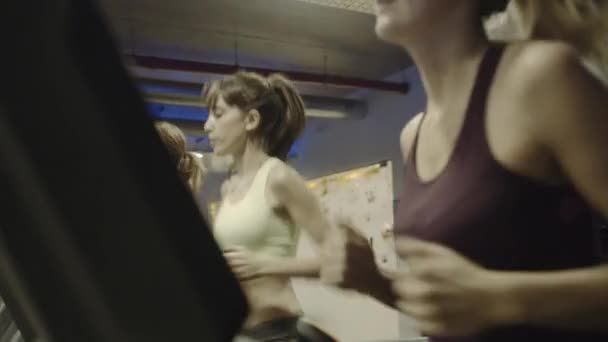 Grupo de mujeres adultas que hacen ejercicio en la cinta — Vídeos de Stock