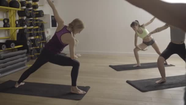 Groep van volwassen vrouwen doen yoga oefeningen — Stockvideo