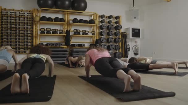 Grupo de mulheres adultas fazendo exercícios de ioga — Vídeo de Stock