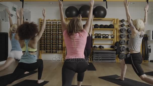 Gruppe erwachsener Frauen macht Yoga-Übungen — Stockvideo